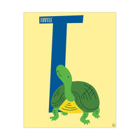 T for Turtle