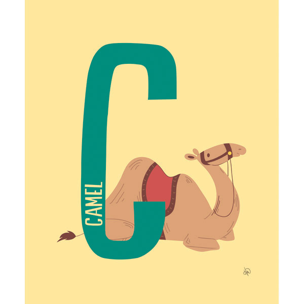 C for Camel