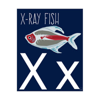 Letter X - X-Ray Fish