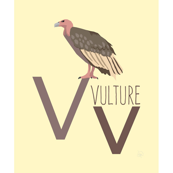 Letter V - Vulture