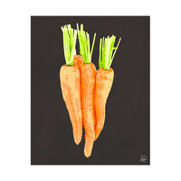 Bunch Of Carrots Alpha