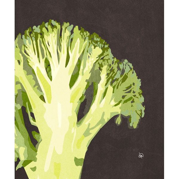 Close Broccoli Black