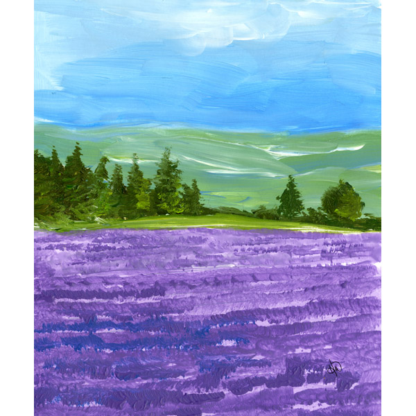 Mountain Lavender Field