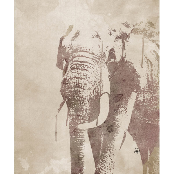 Watercolor Elephant Alpha