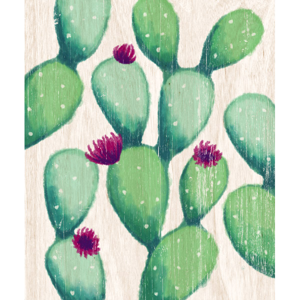 Blooming Cactus on Wood