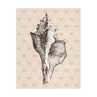 Vintage Conch Shell Sandy