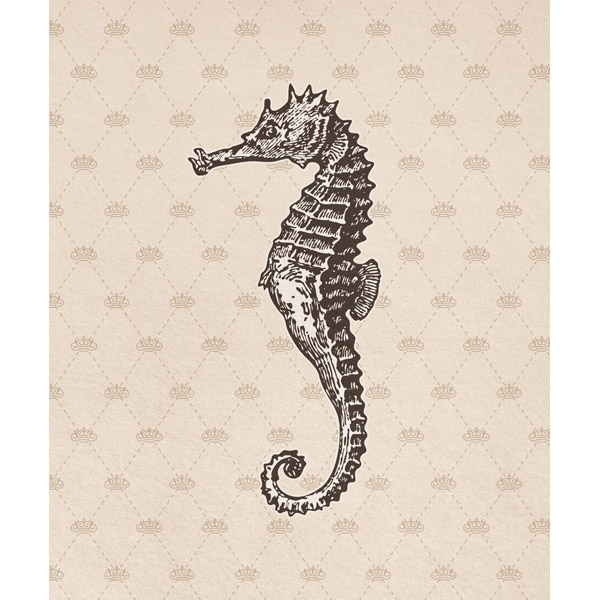 Vintage Seahorse Sandy