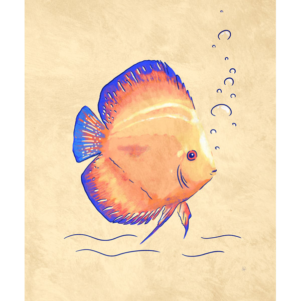 Bright Discus Fish on Yellow