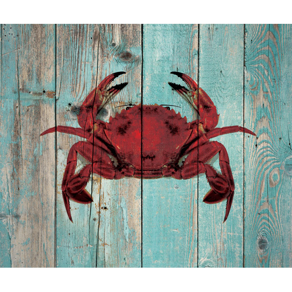 Crimson Crab on Sea Plank