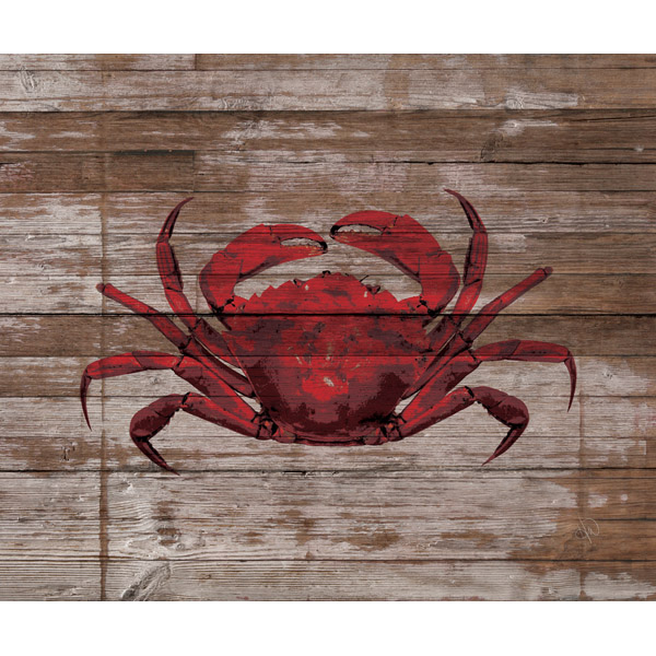 Vermillion Crab on Umber Plank