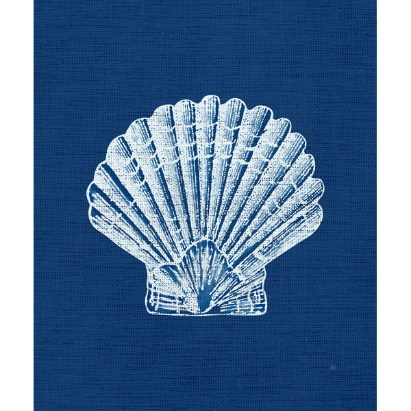 Seashell Indigo