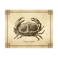 Vintage Crab Zoology Yellow