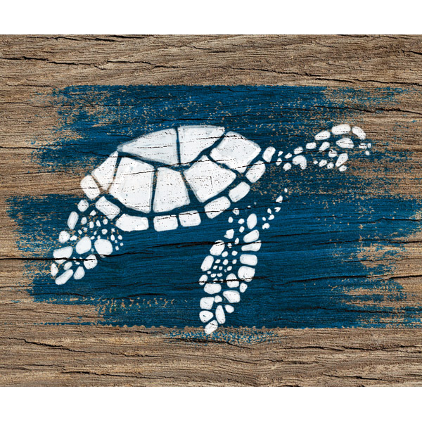 Turtle on Blue