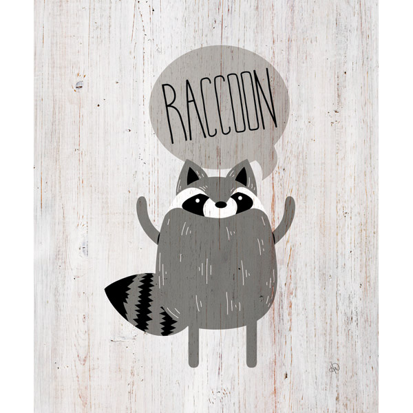 Raccoon on Wood