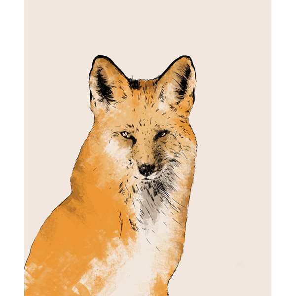 Fox Illustration