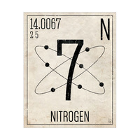 Nitrogen Paper