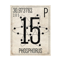 Phosphorus Paper