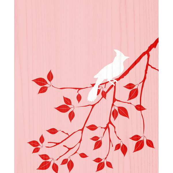 Pink Spring Cardinal