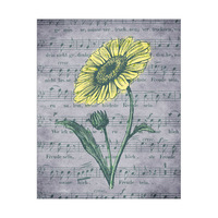 Ash Musical Sunflower