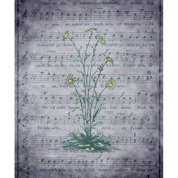 Gray Musical Sunflowers