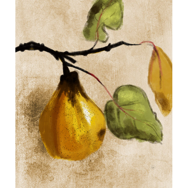 Hanging Quince