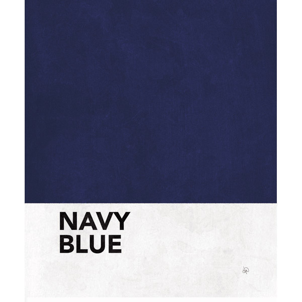 Navy Blue Swatch