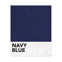 Navy Blue Swatch