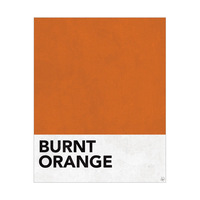 Burnt Orange Swatch