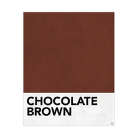 Chocolate Brown Swatch