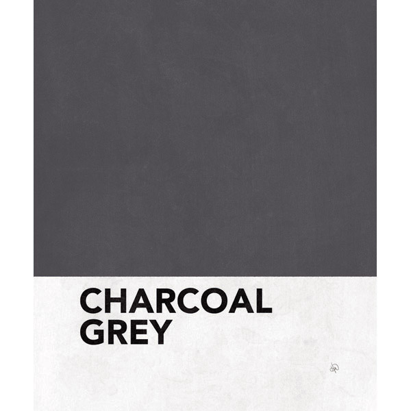 Charcoal Grey Swatch