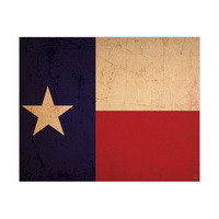 Texas Flag - Vintage