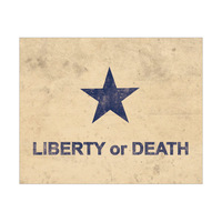 Texas - Liberty or Death Flag