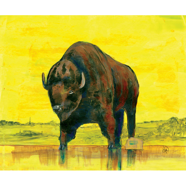 Lost Buffalo