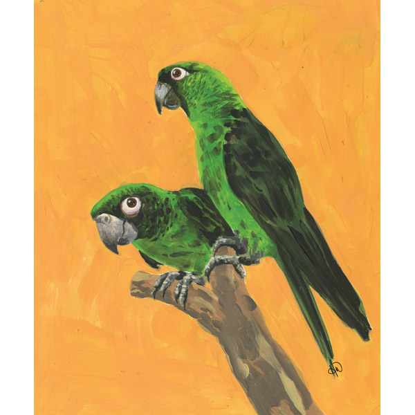 Green Parrots