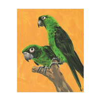 Green Parrots