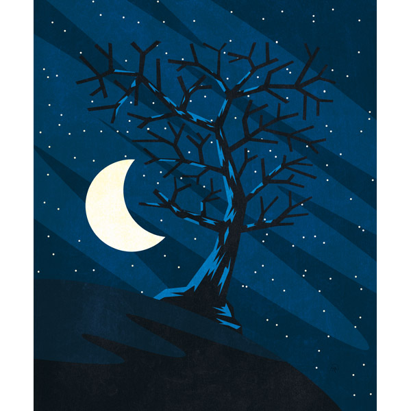 Lonely Moon Tree