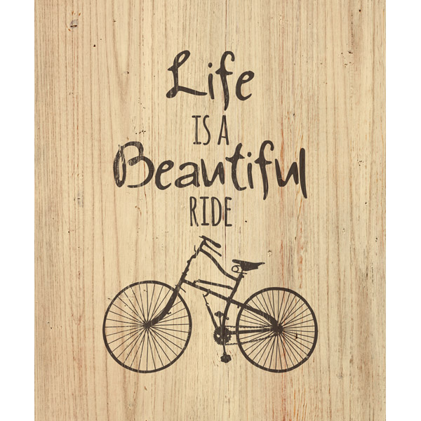 Life is a Beautiful Ride - Marron