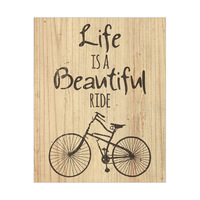 Life is a Beautiful Ride - Marron