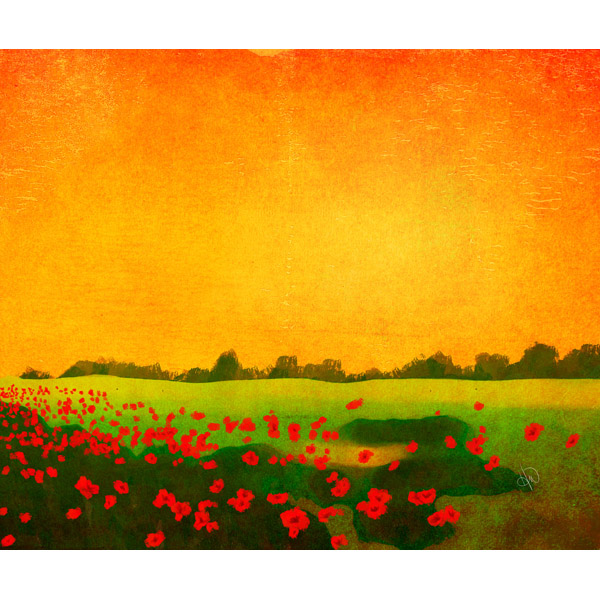 Field of Red Flowers
