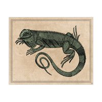 Iguana Illustration on Tan