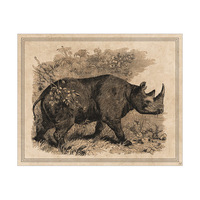 Rhinoceros Illustration on Tan