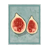 2 Figs on Paper Aqua