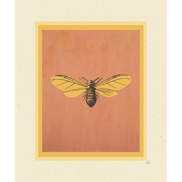 Flying Cicada - Orange