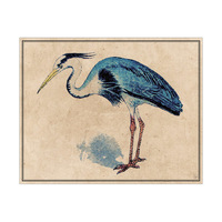 Great Blue Heron Drawing