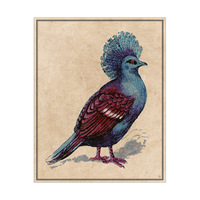 Victoria Crowned Pigeon Drawing