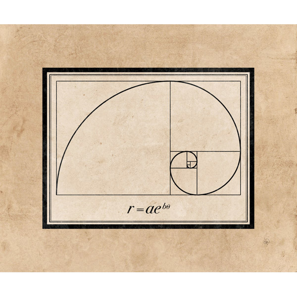 Fibonacci Spiral - Tan