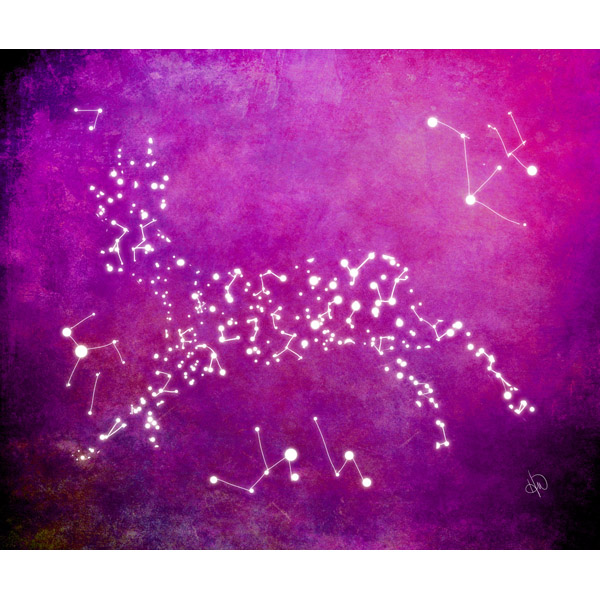 Deer Constellations - Magenta