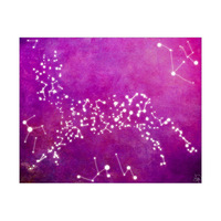 Deer Constellations - Magenta