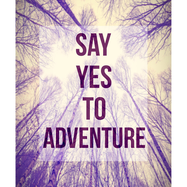 Say Yes To Adventure- Purple Trees