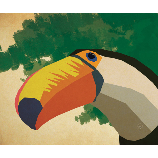 Geometric Toucan